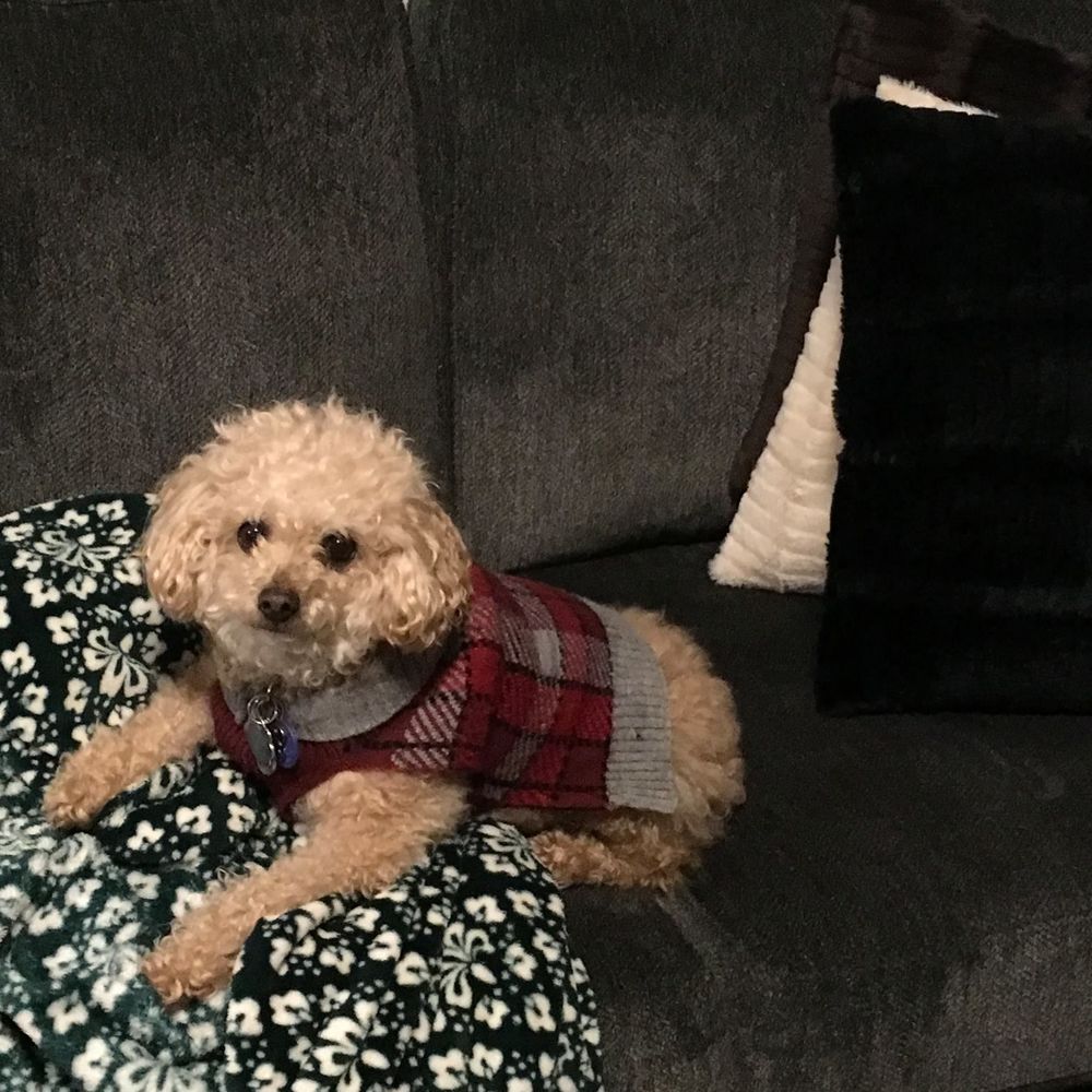 Meet your Posher, Stephanie